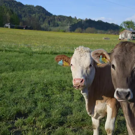 Kainreiterhof Séjour à la ferme Aich (Styria)