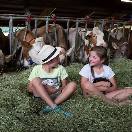 Kainreiterhof Çiftlik konaklama *