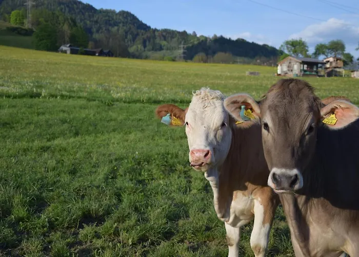 Kainreiterhof Feriegård Aich (Styria)