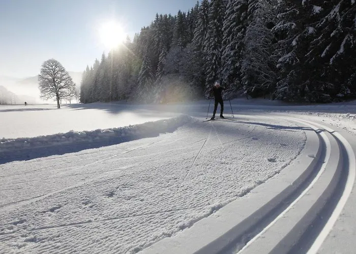 Kainreiterhof Feriegård Aich (Styria)