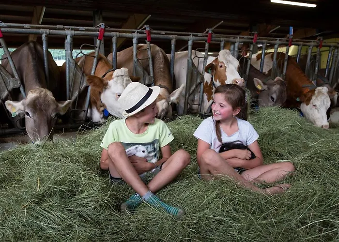 Kainreiterhof Alloggio per agriturismo *